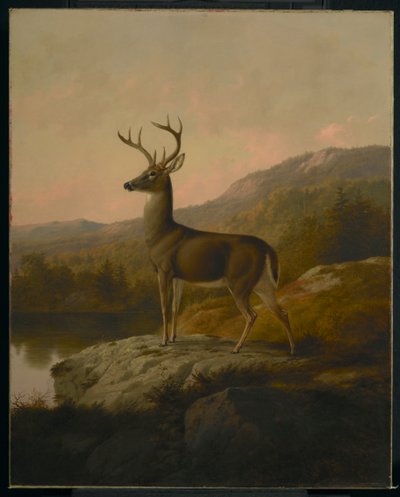 Deer, 1855 by Thomas Hewes Hinckley